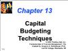 Tài chính doanh nghiệp - Chapter 13: Capital budgeting techniques