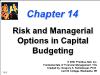 Tài chính doanh nghiệp - Chapter 14: Risk and managerial options in capital budgeting