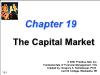 Tài chính doanh nghiệp - Chapter 19: The capital market