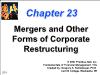 Tài chính doanh nghiệp - Chapter 23: Mergers and other forms of corporate restructuring