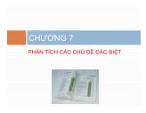 Tài chính doanh nghiệp - Chương 7: Phân tích các chủ đề đặc biệt