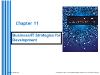 Information Systems - Chapter 11: Business/IT Strategies for Development