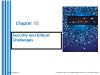 Information Systems - Chapter 13: Security and Ethical Challenges