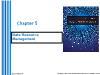 Information Systems - Chapter 5: Data Resource Management