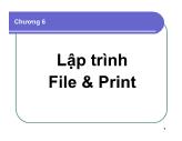 Bài giảng Lập trình Windows - Chương 6: Lập trình File & Print