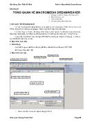 Bài giảng Thiết kế Web - Phần 4: MacroMedia DreamWeaver - Chương 1: Tổng quan về MacroMedia Dreamweaver - Dương Thành Phết