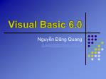 Bài giảng Visual Basic 6.0 - Chương 1,2,3 - Nguyễn Đăng Quang