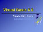 Bài giảng Visual Basic 6.0 - Chương 4,5,6,7,9 - Nguyễn Đăng Quang