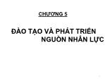 Bài giảng môn Quản trị nguồn nhân lực - Chương 5: Đào tạo và phát triển nguồn nhân lực