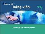 Bài giảng Quản trị học - Chương 16: Động viên - Trần Đăng Khoa