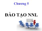 Bài giảng Quản trị nguồn nhân lực - Chương 5: Đào tạo nguồn nhân lực - Phạm Thị Yến