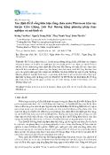 Bài báo khoa học Xác định đỗ lỗ rỗng hữu hiệu tầng chứa nước Pleistocen khu vực huyện Cẩm Giàng, tỉnh Hải Dương bằng phương pháp thực nghiệm và mô hình số