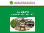 Bài giảng Chăn nuôi trâu bò - Bài mở đầu