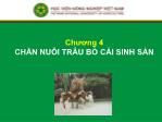 Bài giảng Chăn nuôi trâu bò - Chương 4: Chăn nuôi trâu bò cái sinh sản