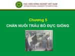 Bài giảng Chăn nuôi trâu bò đực giống