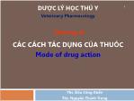 Bài giảng Dược lý học thú y - Chương 3: Các cách tác dụng của thuốc Mode of drug action