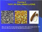 Bài giảng Thức ăn chăn nuôi - Chương 2: Thức ăn giàu năng lượng