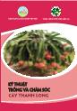 Kỹ thuật trồng và chăm sóc cây Thanh long