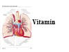 Bài giảng Dược lý học - Chương: Vitamin