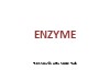 Bài giảng Enzyme - Nguyễn Hữu Ngọc Tuấn