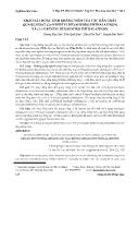 Khảo sát hoạt tính kháng viêm của các dẫn chất quang hoạt Cis-N-heptyl hexahydro phthalazinon và Cis-N-benzyl hexahydro phthalazinon