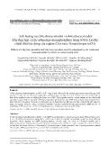 Ảnh hưởng của 2-hydroxyestradiol và 4-hydroxyestradiol đến tổng hợp cyclic adenosine monophosphate trong tế bào Leydig chuột dưới tác động của equine Chorionic Gonadotropin (eCG)