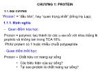 Bài giảng Hóa sinh đại cương - Chương 1: Protein