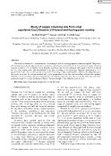 Study of copper releasing rate from vinyl copolymer/Cu₂O/Seanine 211-based anti-fouling paint coating