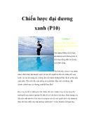 Chiến lược đại dương xanh (Phần 10)