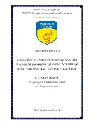 Luận văn Các nhân tố ảnh hưởng đến sự gắn kết của người lao động tại Công ty TNHH Sản xuất – Thương mại – Dịch Vụ Phát Thành
