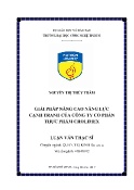 Luận văn Giải pháp nâng cao năng lực cạnh tranh của Công ty Cổ phần Thực phẩm Cholimex