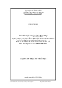 Luận văn Nghiên cứu khả năng hấp phụ Fe(III), Ni(II), Cr(VI) của vật liệu oxit nano MnO2 bọc cát trong môi trường nước và thử nghiệm xử lý môi trường